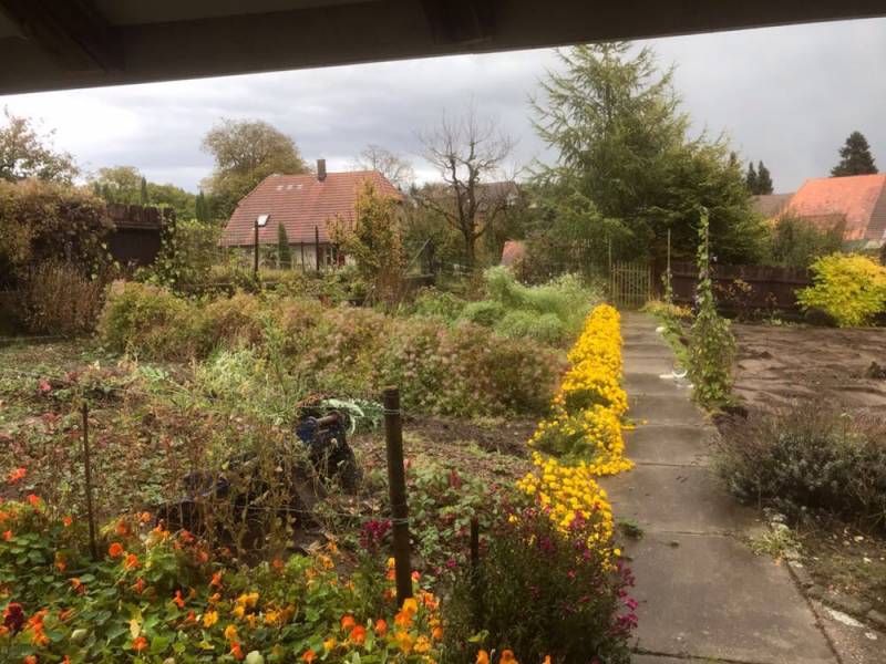 jardin-verger en pente