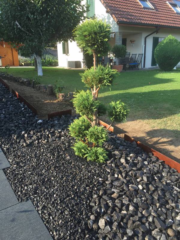 plantation d'un ...............................