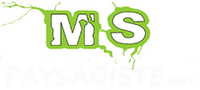 MS PAYSAGISTE